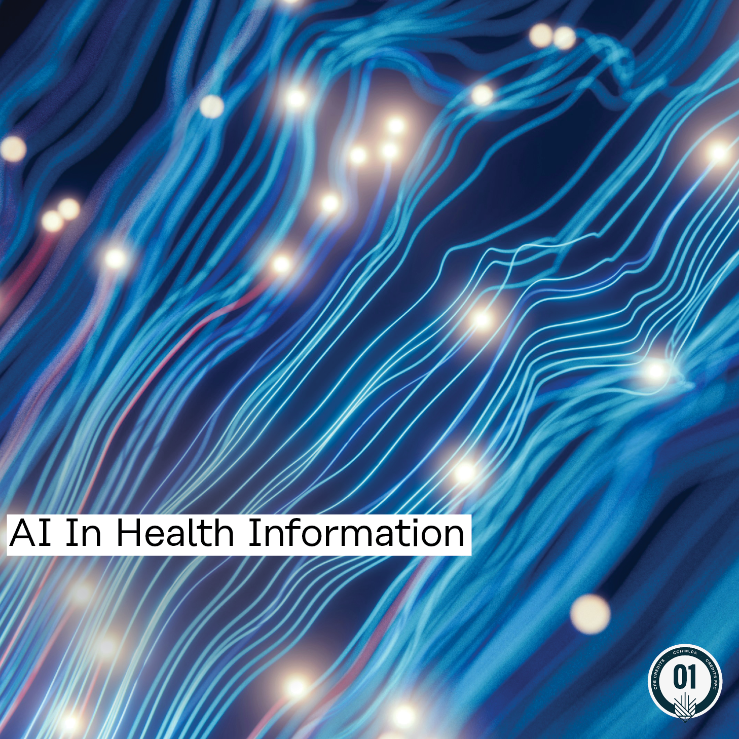 Ask Me Anything : AI in Health Information with CanScribe College