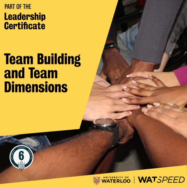 Team Building and Team Dimensions